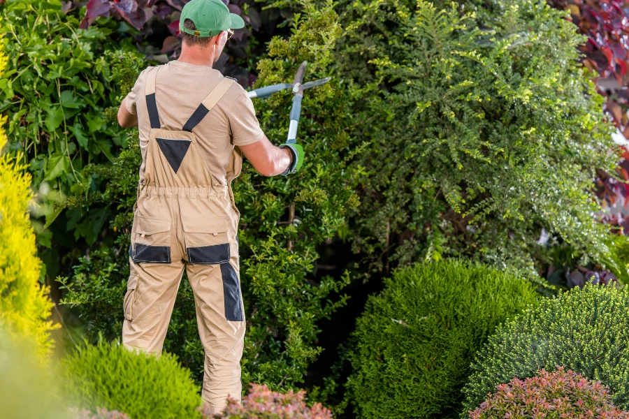 Estas son las ventajas de contratar jardineros especializados