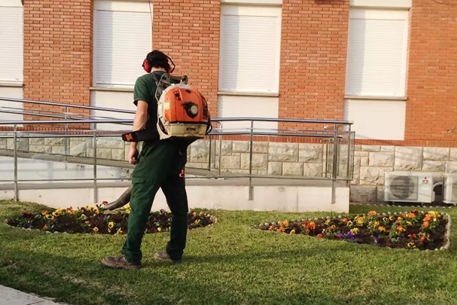 Servicio de jardinería en Madrid