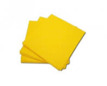 BAYETA ABSORBENTE